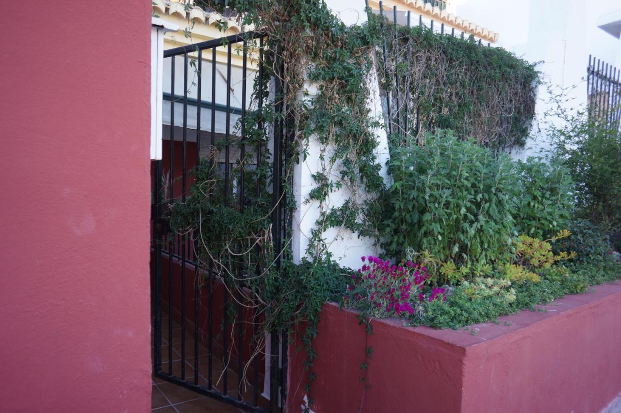 Cute And Relaxing Bed And Breakfast En Albayzin Granada Ngoại thất bức ảnh